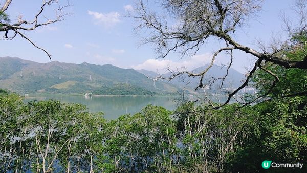 香港沙頭角│谷埔 本地文化深度遊 【啟才學校│傳統客家菜│😋 傳統客家大宅│蘭桂騰芳 客家大宅 】