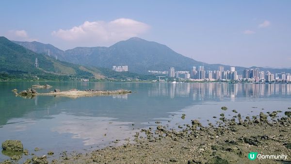 香港沙頭角│谷埔 本地文化深度遊 【啟才學校│傳統客家菜│😋 傳統客家大宅│蘭桂騰芳 客家大宅 】