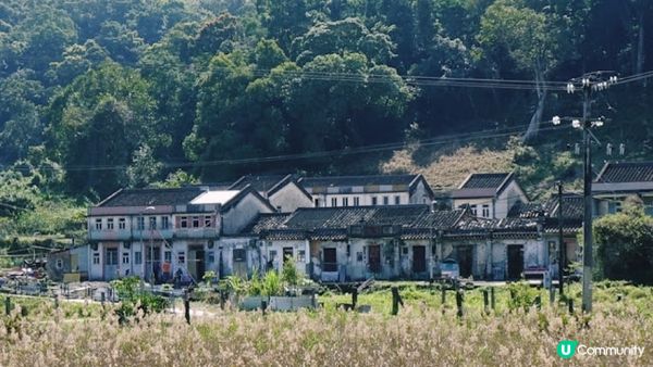 香港沙頭角│谷埔 本地文化深度遊 【啟才學校│傳統客家菜│😋 傳統客家大宅│蘭桂騰芳 客家大宅 】