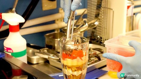 【日本京阪神】大阪長居❤️我的布丁食堂😍彩虹布丁水蜜桃聖代芭菲｜魔幻植物園TEAM LAB光影藝術展