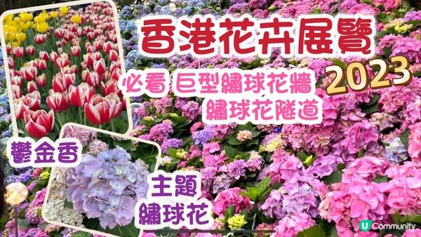 香港花卉展覽2023｜首日實測 繡球花主題+鬱金香｜率先睇打卡靚位｜ Hong Kong Flower Show 2023