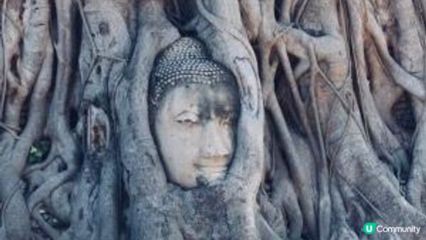 泰國大城（Ayutthaya)吃喝玩樂一天遊