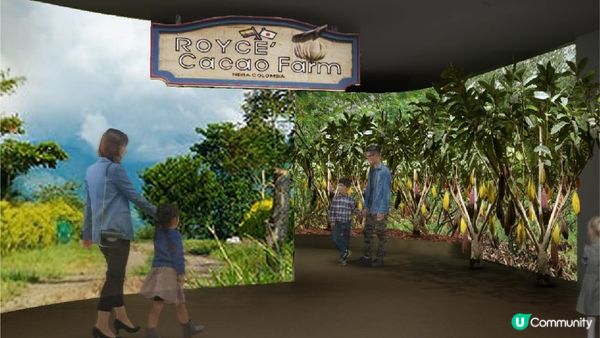 北海道伴手禮ROYCE巧克力工廠開放見學！ROYCE CACAO & CHOCOLATE TOWN等你來體驗