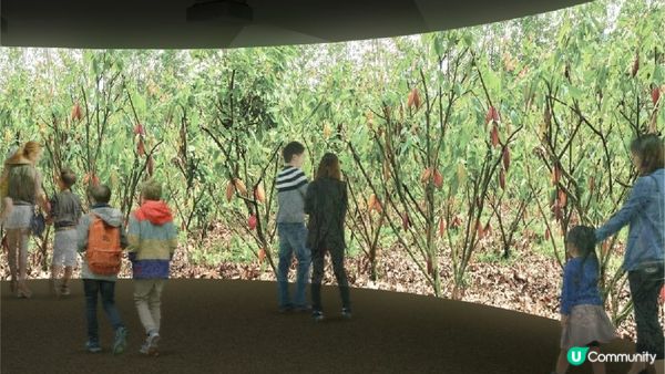 北海道伴手禮ROYCE巧克力工廠開放見學！ROYCE CACAO & CHOCOLATE TOWN等你來體驗