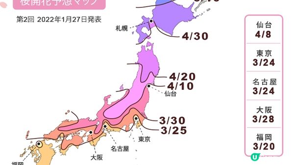 京都必去賞櫻景點7選–醍醐寺、平安神宮、還有……
