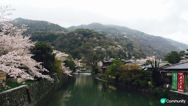 京都必去賞櫻景點7選–醍醐寺、平安神宮、還有……