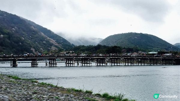京都必去賞櫻景點7選–醍醐寺、平安神宮、還有……