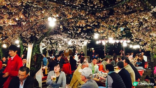 京都必去賞櫻景點7選–醍醐寺、平安神宮、還有……