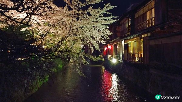 京都必去賞櫻景點7選–醍醐寺、平安神宮、還有……