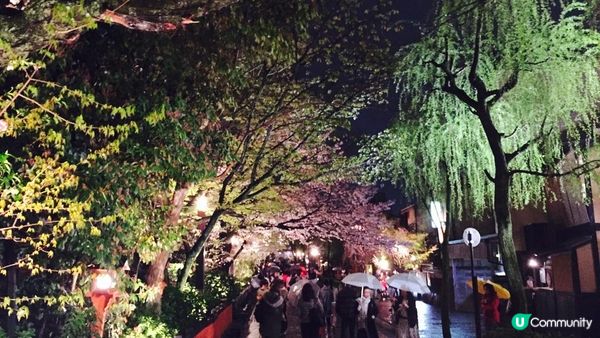 京都必去賞櫻景點7選–醍醐寺、平安神宮、還有……