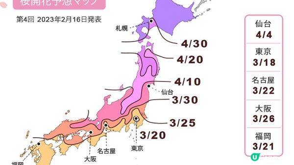 (2023日本最新櫻花開花、滿開時間預報)跟著日本櫻花前線賞櫻去吧!!
