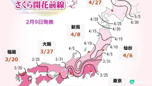 (2023日本最新櫻花開花、滿開時間預報)跟著日本櫻花前線賞櫻去吧!!
