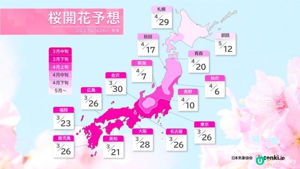 (2023日本最新櫻花開花、滿開時間預報)跟著日本櫻花前線賞櫻去吧!!