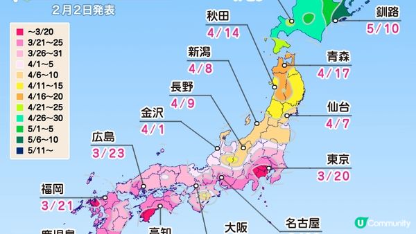 (2023日本最新櫻花開花、滿開時間預報)跟著日本櫻花前線賞櫻去吧!!