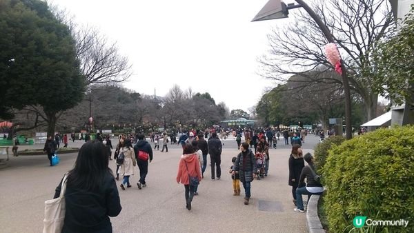 一起到東京老街來場懷舊一日遊吧！東京下町散步景點7選～