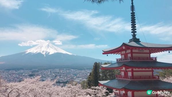 把富士山帶回家吧！富士山造型吐司、粉雪起士蛋糕…富士山伴手禮六選