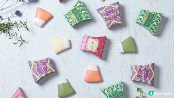 把富士山帶回家吧！富士山造型吐司、粉雪起士蛋糕…富士山伴手禮六選