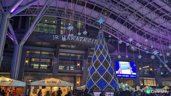 2023日本聖誕活動7選推薦！東京、大阪、九州….從11月就開始慶祝聖誕節到年末~