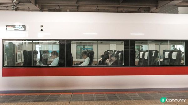【東京近郊】茨城一天遊行程｜國營常陸海濱公園粉碟花花海、大洗磯上神社、那珂湊漁港魚市場
