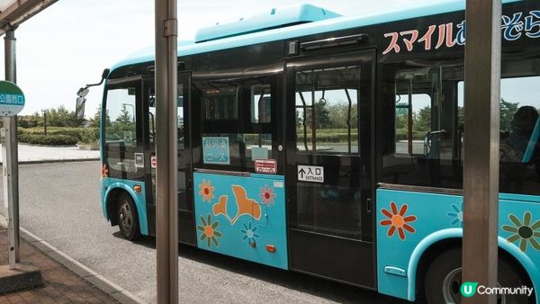 【東京近郊】茨城一天遊行程｜國營常陸海濱公園粉碟花花海、大洗磯上神社、那珂湊漁港魚市場