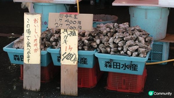【東京近郊】茨城一天遊行程｜國營常陸海濱公園粉碟花花海、大洗磯上神社、那珂湊漁港魚市場