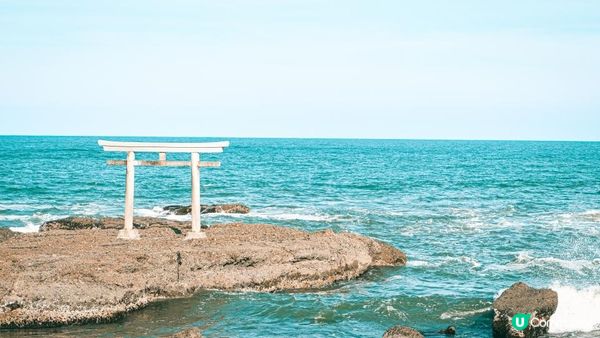 【東京近郊】茨城一天遊行程｜國營常陸海濱公園粉碟花花海、大洗磯上神社、那珂湊漁港魚市場