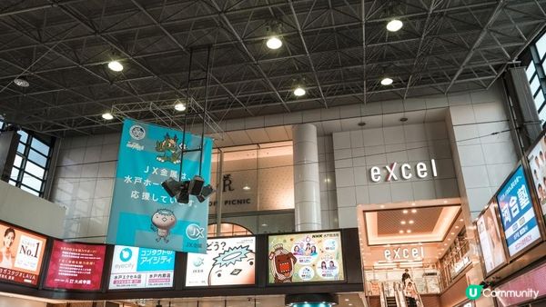 【東京近郊】茨城一天遊行程｜國營常陸海濱公園粉碟花花海、大洗磯上神社、那珂湊漁港魚市場