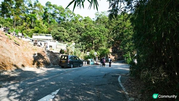 東洋山芒草 飛鵝山觀光台行山｜比大東山容易前往的市區芒草熱點｜香港行山路線｜初級行山路線