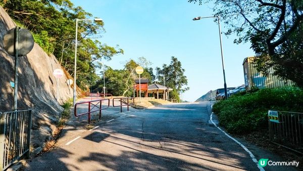 東洋山芒草 飛鵝山觀光台行山｜比大東山容易前往的市區芒草熱點｜香港行山路線｜初級行山路線