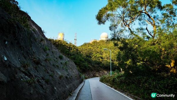 東洋山芒草 飛鵝山觀光台行山｜比大東山容易前往的市區芒草熱點｜香港行山路線｜初級行山路線