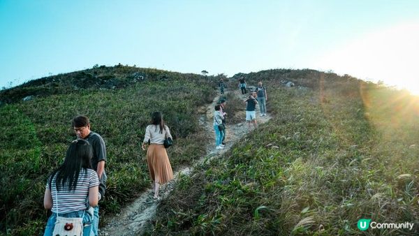 東洋山芒草 飛鵝山觀光台行山｜比大東山容易前往的市區芒草熱點｜香港行山路線｜初級行山路線