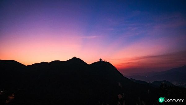 東洋山芒草 飛鵝山觀光台行山｜比大東山容易前往的市區芒草熱點｜香港行山路線｜初級行山路線
