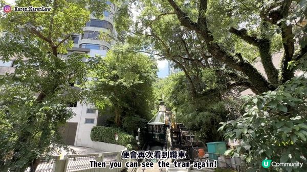 【香港郊遊好去處】BB班輕鬆去「港島打卡Hea路線」⁉️🤭9成平路·多樹蔭～3小時內完成，多打卡位！🥰｜港島寶雲道