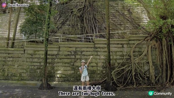 【香港郊遊好去處】BB班輕鬆去「港島打卡Hea路線」⁉️🤭9成平路·多樹蔭～3小時內完成，多打卡位！🥰｜港島寶雲道