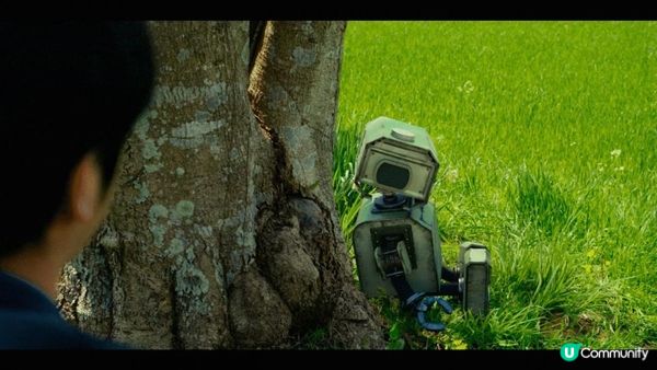 【日影心得】TANG —— 一場修復傷口的旅程