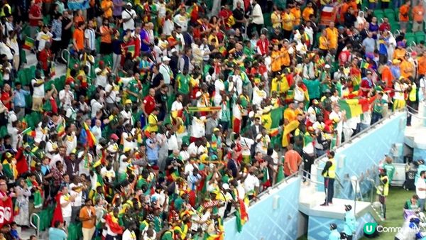 卡塔爾特集：現場睇世界盃的震撼