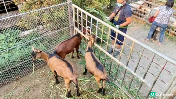 【高雄親子景點】推薦12個高雄溜小孩放風好地方