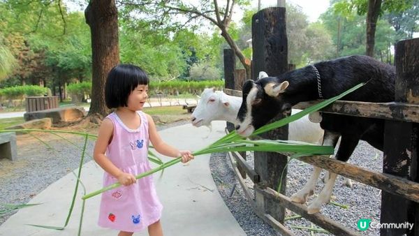 【高雄親子景點】推薦12個高雄溜小孩放風好地方