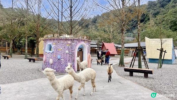 2023宜蘭景點推薦｜超好玩宜蘭一日遊新景點｜親子行程規劃