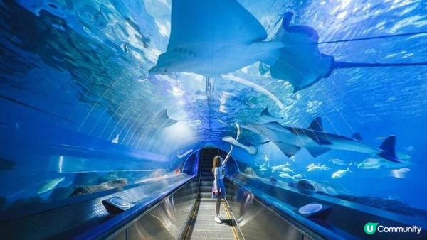 2023全台十大遊樂園》園區特色簡介、門票優惠總整理！