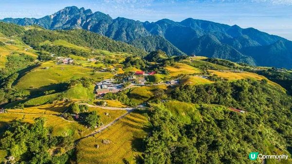 【六十石山】花蓮六十石山金針花最新花況！賞花攻略