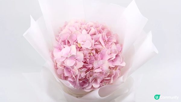 2024年香港8間精選網上花店推介！情人節送花必睇！