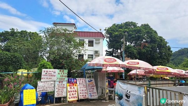 獨木舟🛶⛱️🤿🪸🐟《西貢海下灣海岸公園》