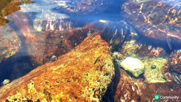 獨木舟🛶⛱️🤿🪸🐟《西貢海下灣海岸公園》