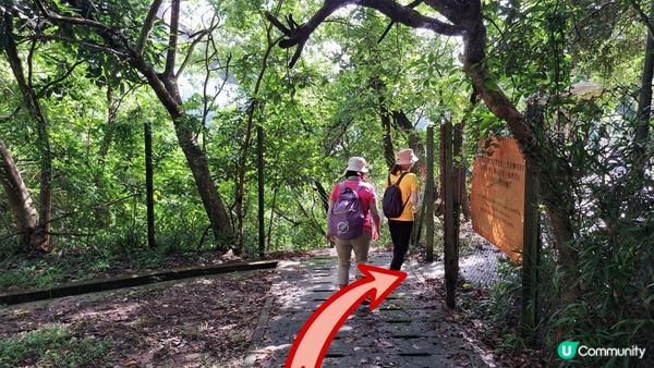 《青嶼幹線轉車站至迪欣湖行山篇》汲水門大橋、草灣碼頭、花瓶石
