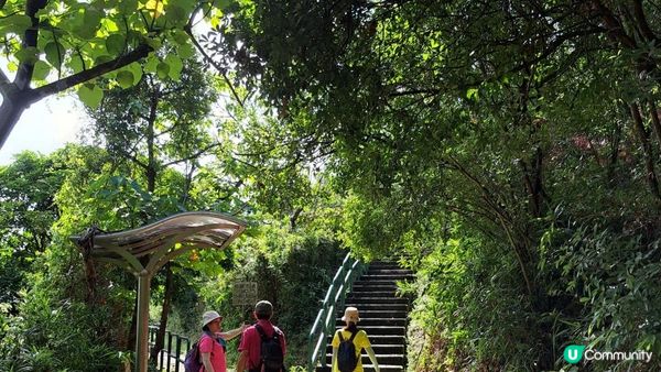 《青嶼幹線轉車站至迪欣湖行山篇》汲水門大橋、草灣碼頭、花瓶石