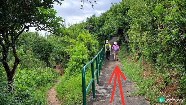 《青嶼幹線轉車站至迪欣湖行山篇》汲水門大橋、草灣碼頭、花瓶石