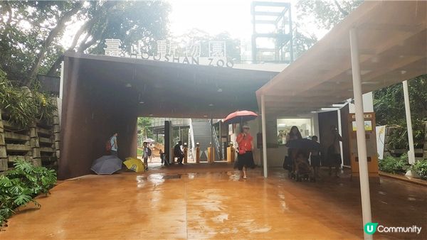 旅遊｜重新開張高雄Shoushan Zoo壽山動物園一日遊 ，新建天空橋看水豚