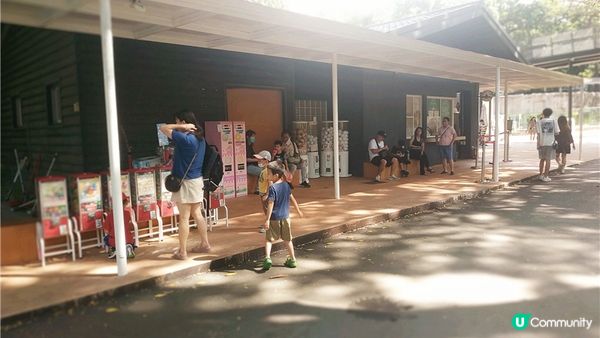 旅遊｜重新開張高雄Shoushan Zoo壽山動物園一日遊 ，新建天空橋看水豚