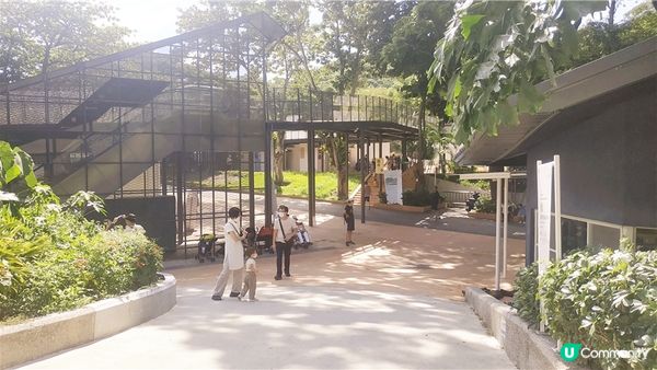 旅遊｜重新開張高雄Shoushan Zoo壽山動物園一日遊 ，新建天空橋看水豚